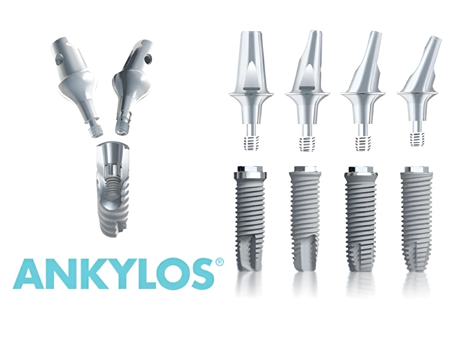 Ankylos